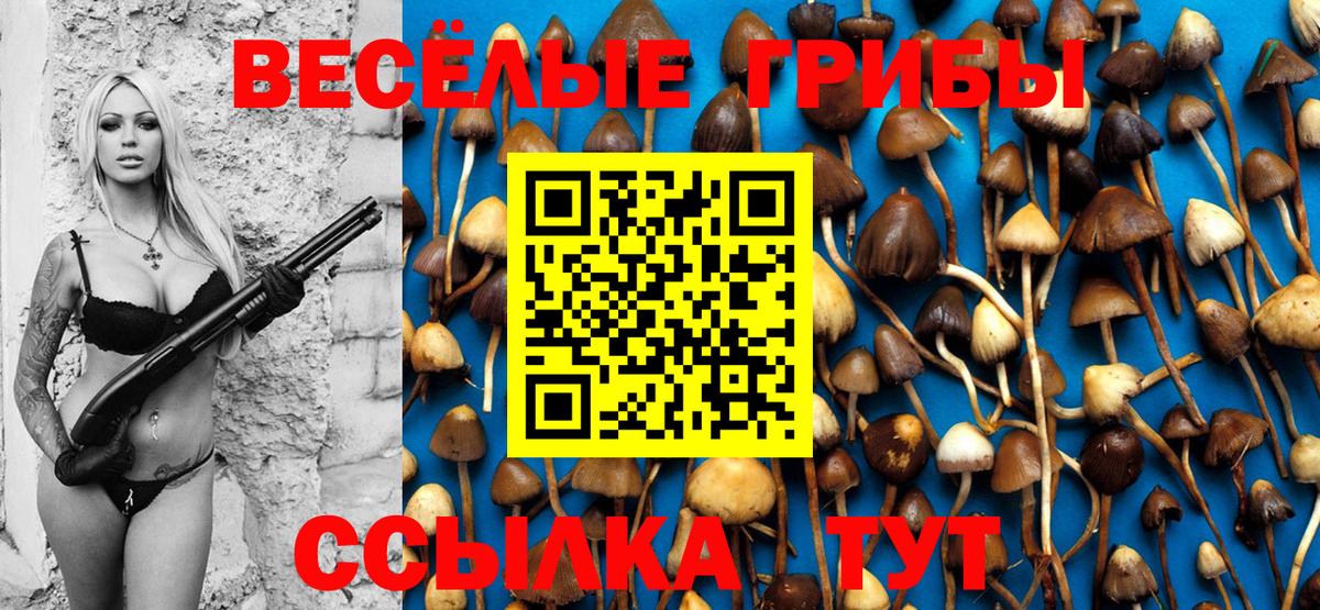 Галлюциногенные грибы GOLDEN TEACHER  Вход с VPN  наркота  Казань 