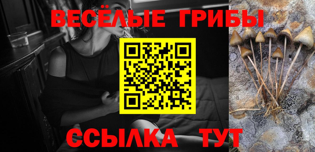 Псилоцибиновые грибы мицелий Казань